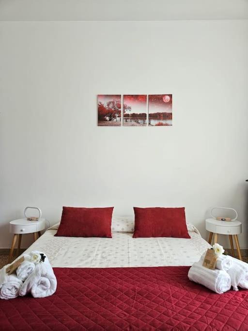 Appartamento La Casa Di Nonna Gina Alba  Esterno foto