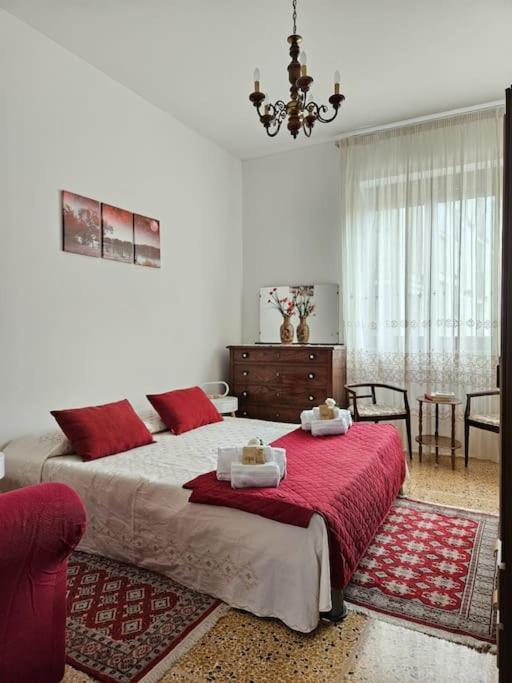 Appartamento La Casa Di Nonna Gina Alba  Esterno foto